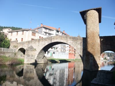 Tratamientos en Madera y Fumigación de Termitas y Carcoma en Balmaseda