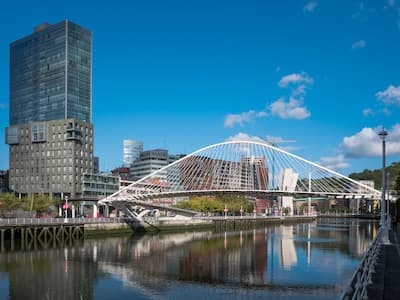 Tratamientos en Madera y Fumigación de Termitas y Carcoma en Bilbao