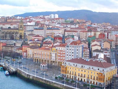Tratamientos en Madera y Fumigación de Termitas y Carcoma en Portugalete